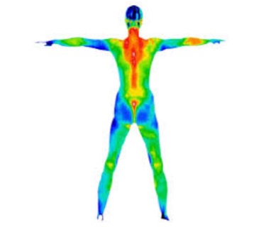 IPSC performance during the winter image